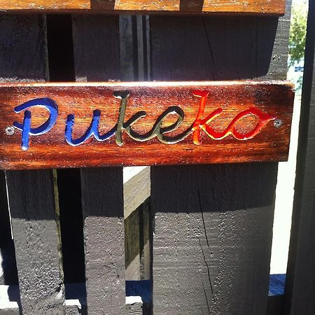 Pukeko On Bay Apartment Tauranga Luaran gambar