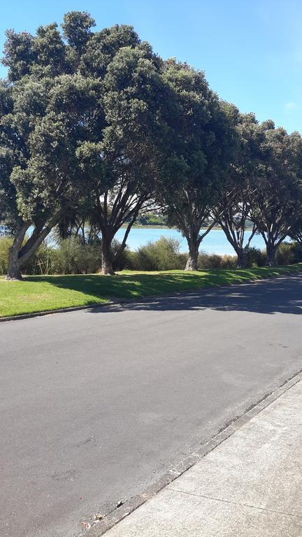 Pukeko On Bay Apartment Tauranga Luaran gambar
